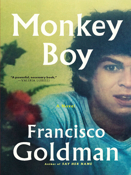 Title details for Monkey Boy by Francisco Goldman - Wait list